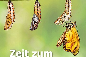 Titelbild Fairconomy 3/2020